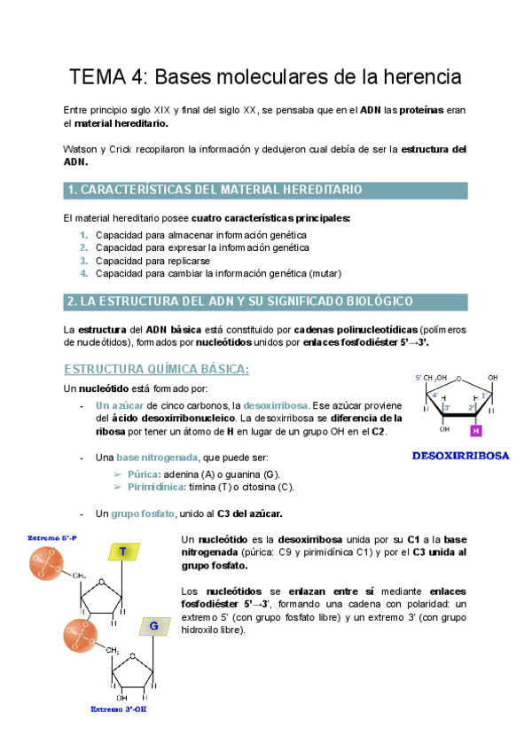 Miniatura del documento TEMA-4-Bases-moleculares-de-la-herencia.pdf