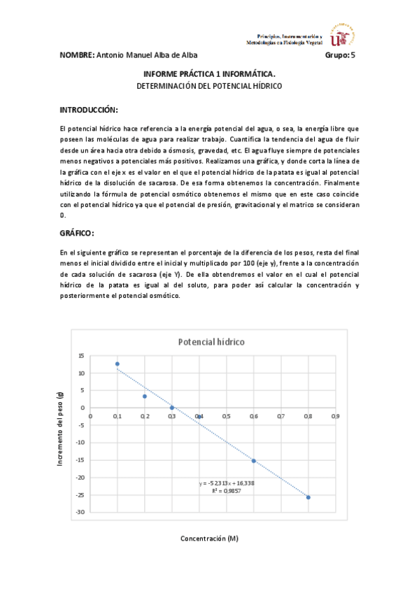 Miniatura del documento Practica-informatica-FV-pim.pdf