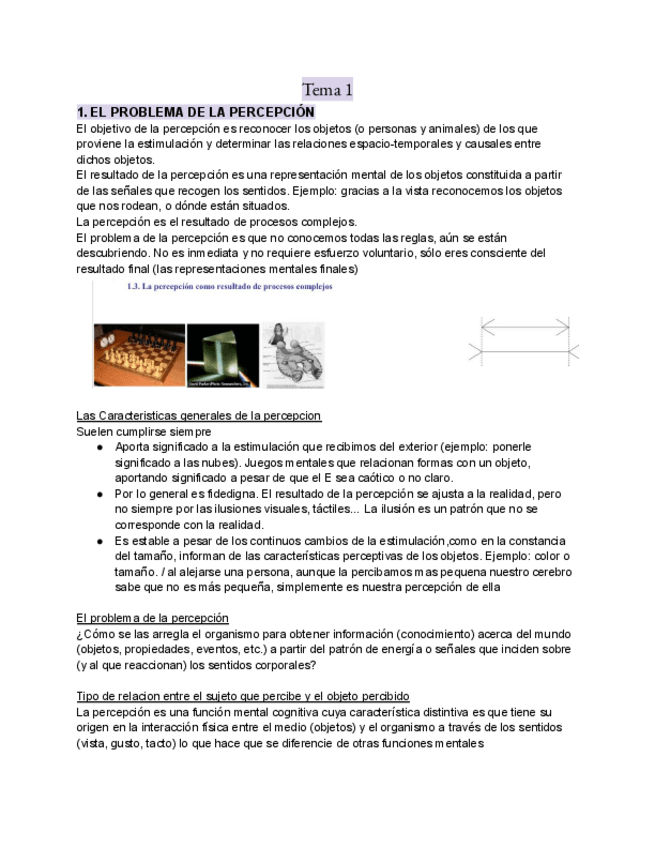 Miniatura del documento Percepcion-tema-1.pdf