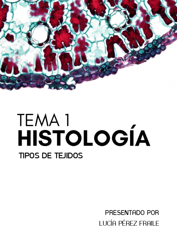 Miniatura del documento trabajo-anatomia-histologia-1-bachiller.pdf