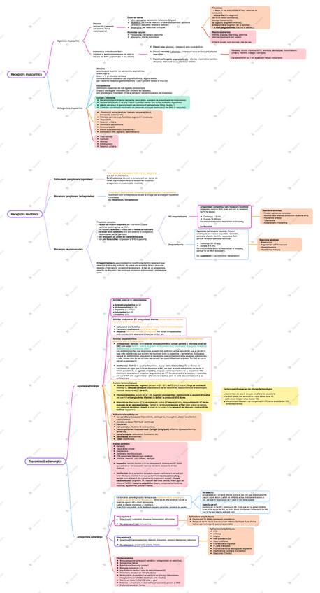 Miniatura del documento Mapa-mental-T5.pdf