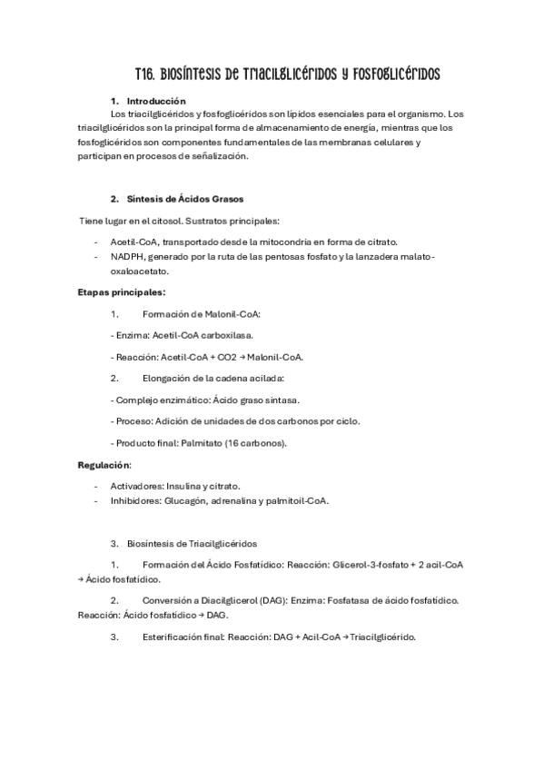 Miniatura del documento t16.pdf