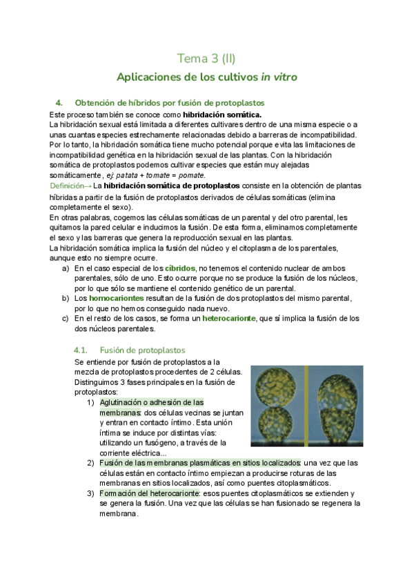 Miniatura del documento Tema-3.2-cultivos-vegetales.pdf