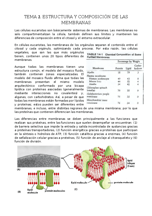 Miniatura del documento TEMA-2.-Estructura-y-composicion-de-las-membranas.docx