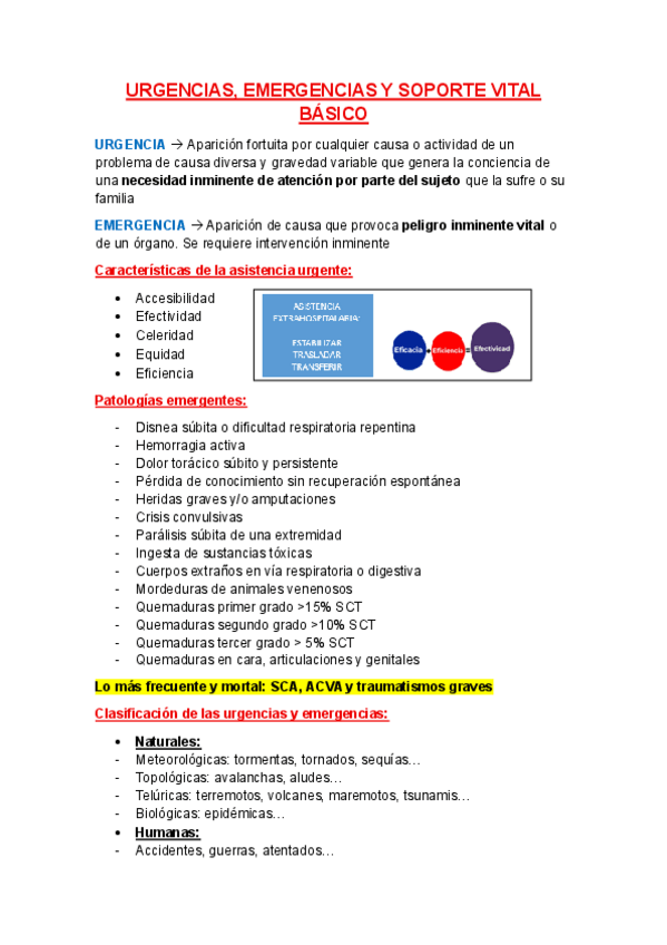 Miniatura del documento 1.-SOPORTE-VITAL-BASICO.pdf