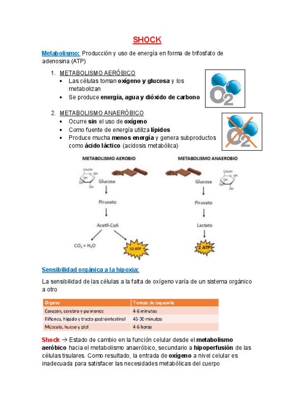 Miniatura del documento 2.-SHOCK.pdf