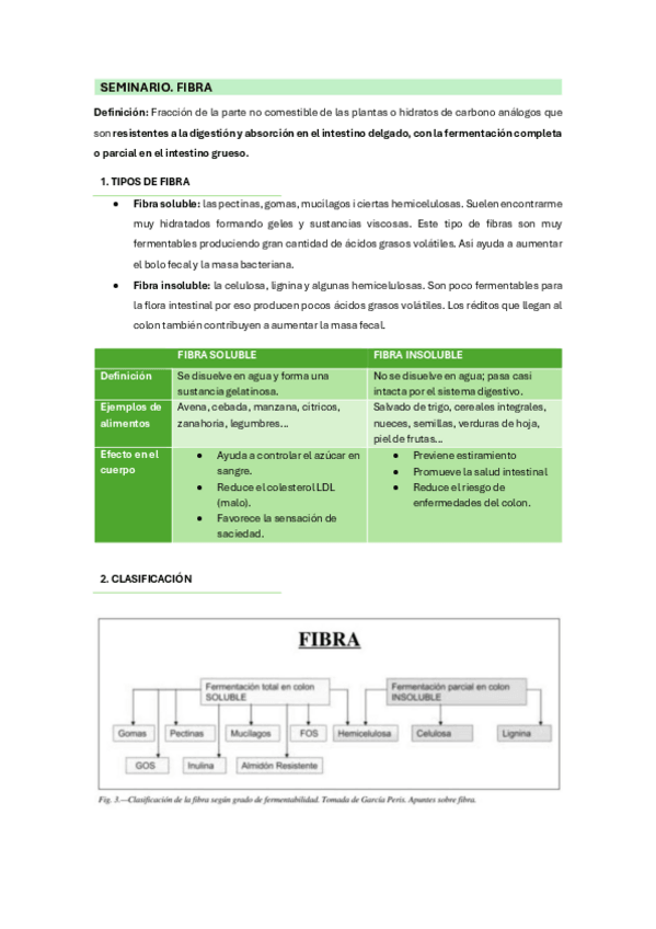 Miniatura del documento Seminario.-fibra.pdf
