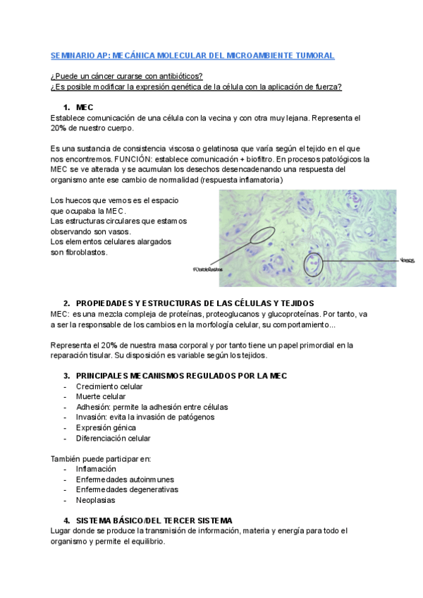 Miniatura del documento Seminario-Matriz-Extracelular.pdf