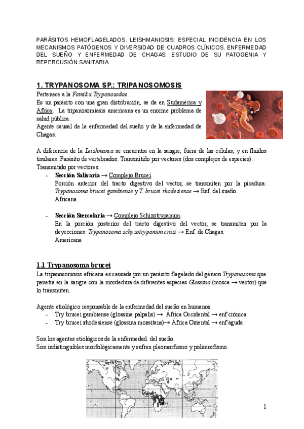 Miniatura del documento PARASITOLOGIA-T3b.-ENFERMEDADES-PRODUCIDAS-POR-PROTOZOOS.pdf