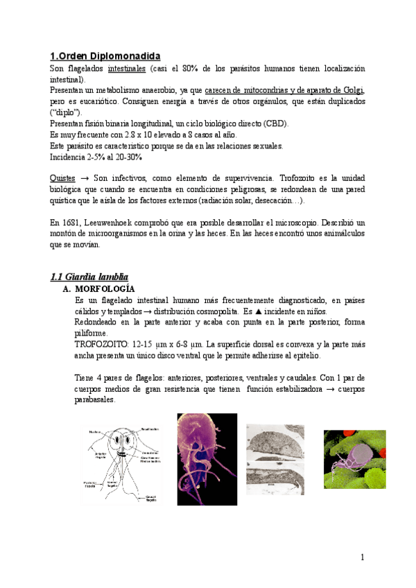 Miniatura del documento PARASITOLOGIA-T4.-OTRAS-PARASITOSIS-PRODUCIDAS-POR-FLAGELADOS-GIARDIOSIS-Y-TRICHOMONOSIS.pdf