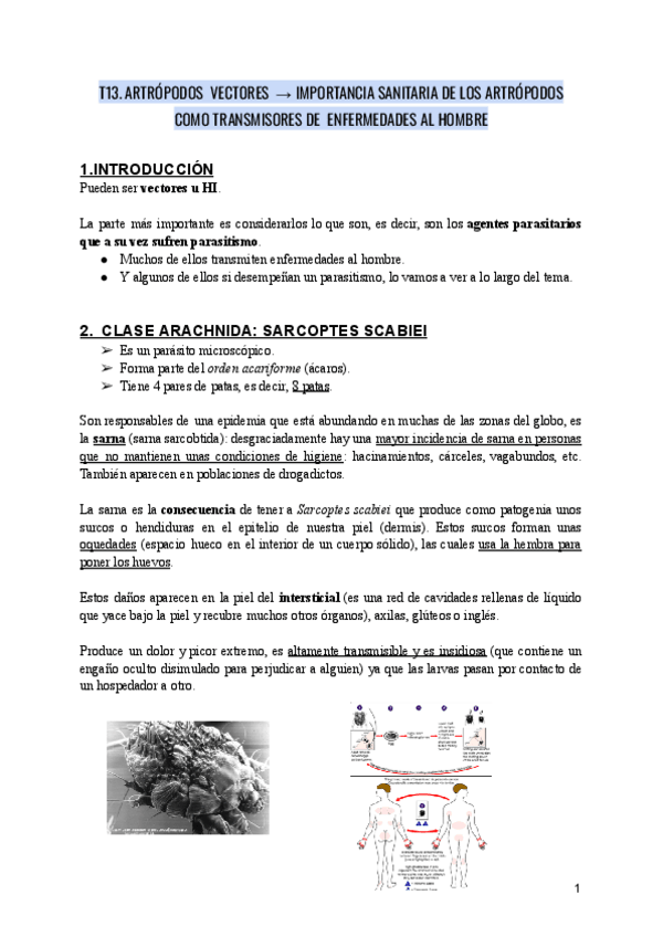 Miniatura del documento PARASITOLOGIA-T13.ARTROPODOS-VECTORES-IMPORTANCIA-SANITARIA-DE-LOS-ARTROPODOS-COMO-TRANSMISORES-DE-ENFERMEDADES-AL-HOMBRE.pdf