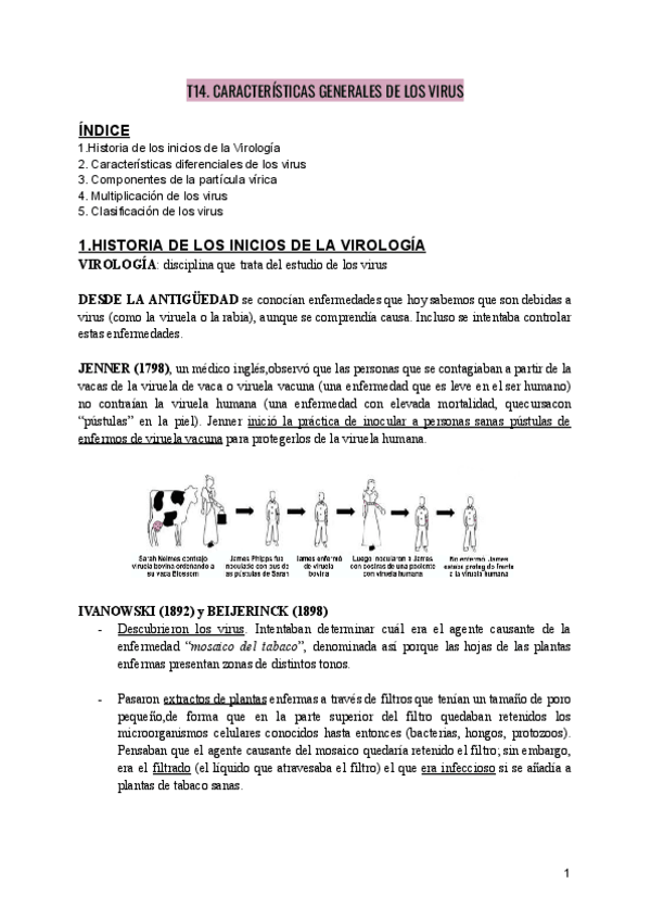 Miniatura del documento VIROLOGIA-T14.-CARACTERISTICAS-GENERALES-DE-LOS-VIRUS.pdf