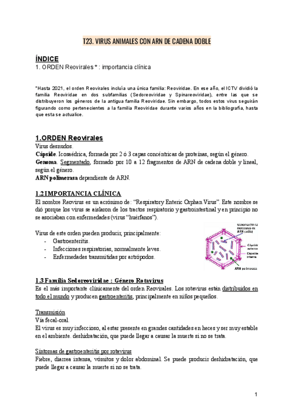 Miniatura del documento VIROLOGIA-T23.-VIRUS-ANIMALES-CON-ARN-DE-CADENA-DOBLE.pdf