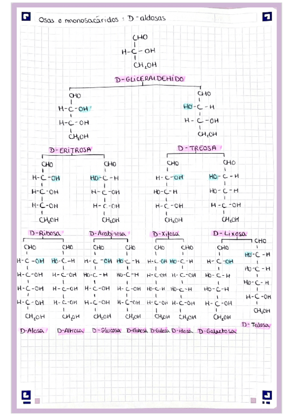 Miniatura del documento lista Glúcidos.pdf