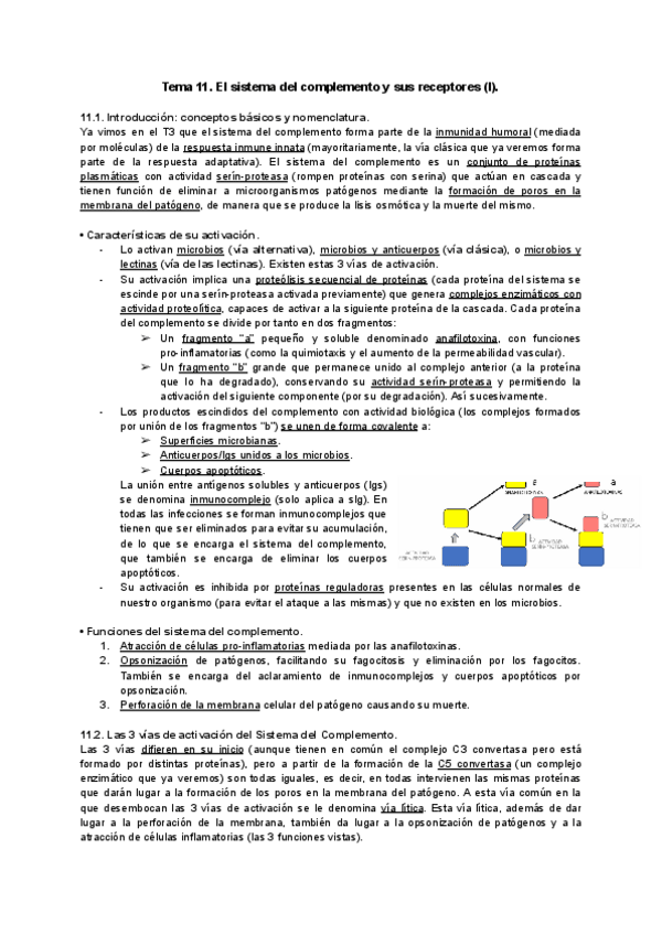 Miniatura del documento Tema-11-Inmuno.pdf