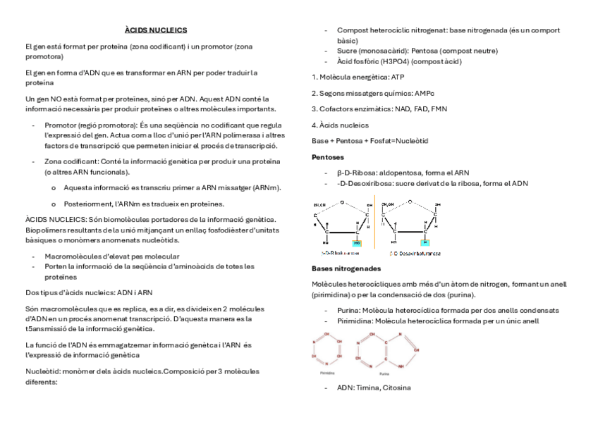 Miniatura del documento ACIDS-NUCLEICS.pdf