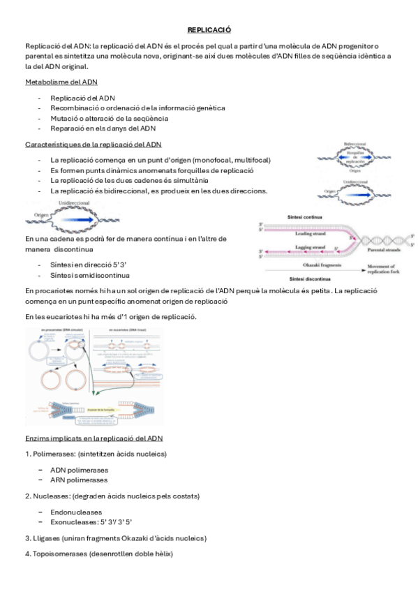 Miniatura del documento REPLICACIO.pdf