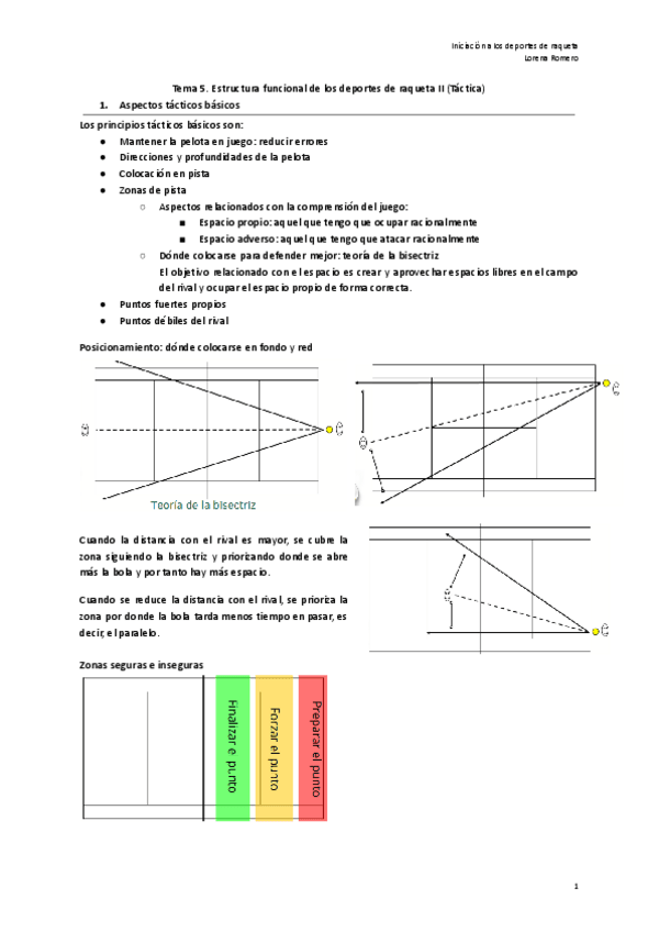 Miniatura del documento Tema-5.-Estructura-funcional-de-los-deportes-de-raqueta-II-Tactica.pdf
