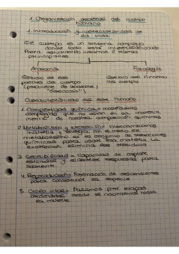 Miniatura del documento ANATOMIA-organizacion-general-del-cuerpo-humano.pdf