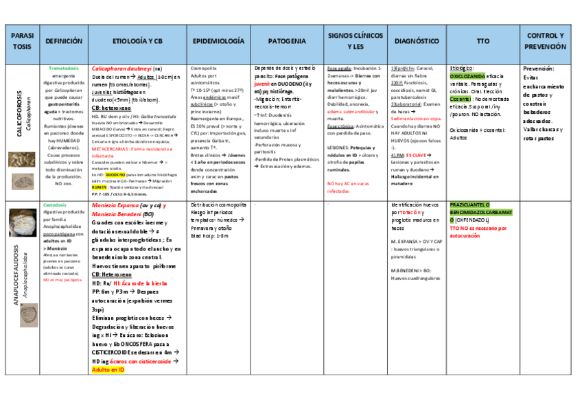 Miniatura del documento T4-Calicop.pdf