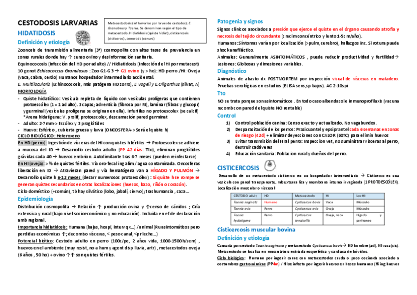 Miniatura del documento T11--Hiat.pdf