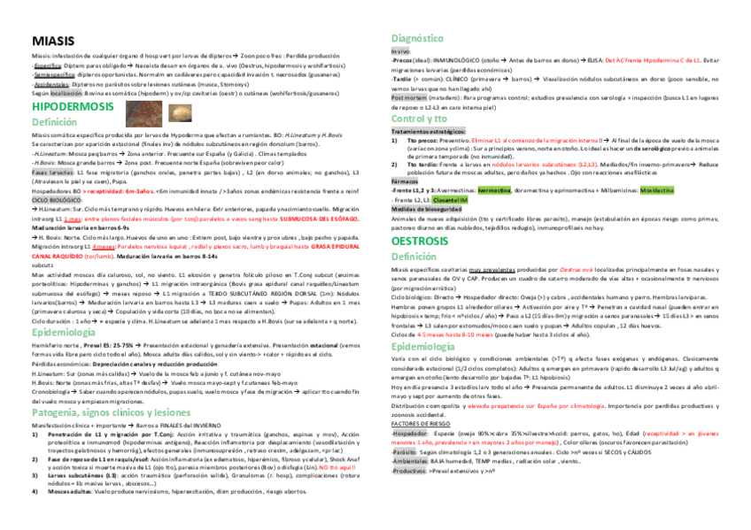 Miniatura del documento MIASIS-t12.pdf