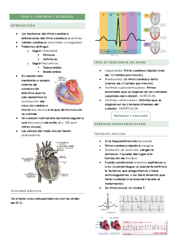 Miniatura del documento TEMA-4.pdf