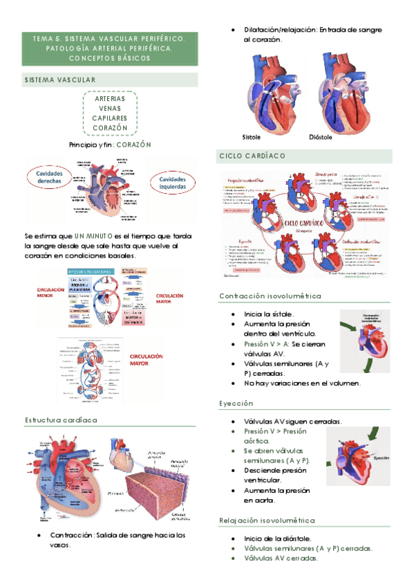Miniatura del documento TEMA-5.pdf