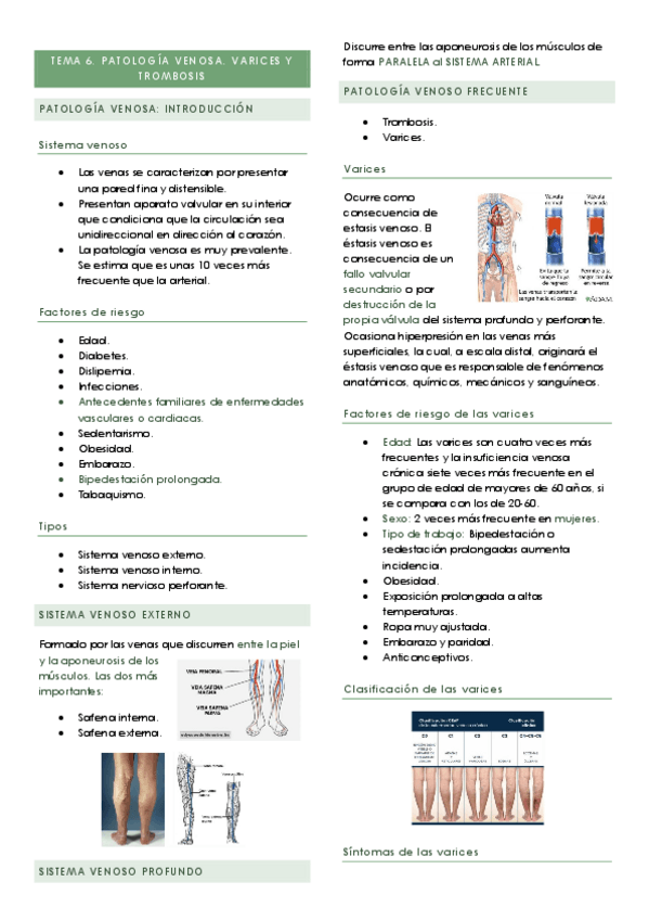 Miniatura del documento TEMA-6.pdf