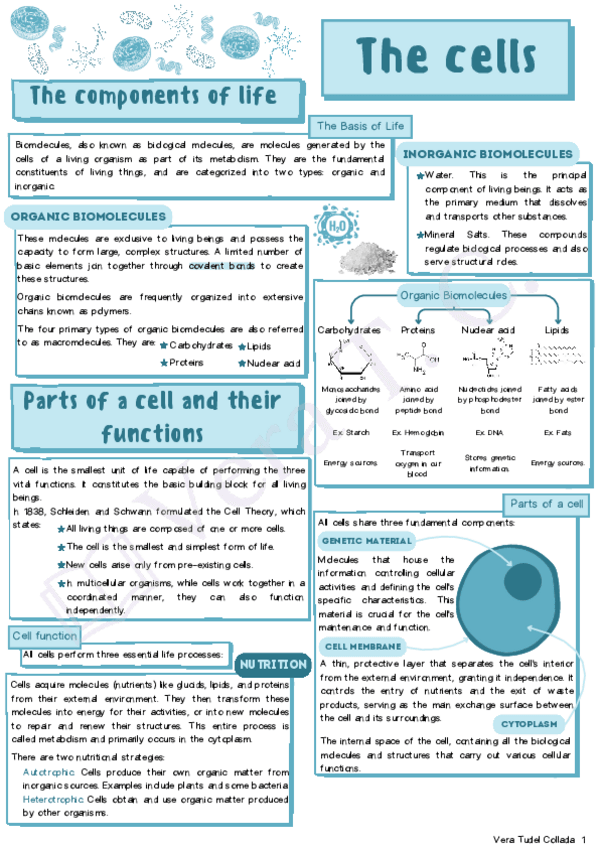 Miniatura del documento The-cells.pdf