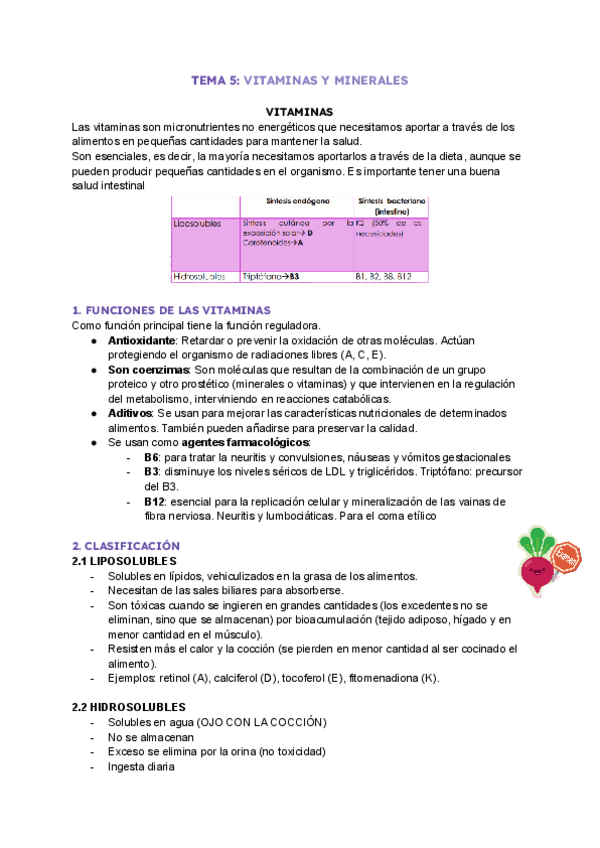 Miniatura del documento TEMA-5-vitaminas-y-minerales.pdf