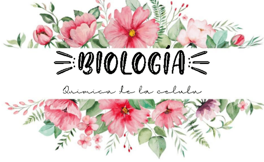 Miniatura del documento Flashcards-Biomoleculas.pdf