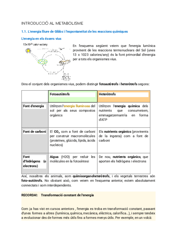 Miniatura del documento INTRODUCCIO-AL-METABOLISME.pdf
