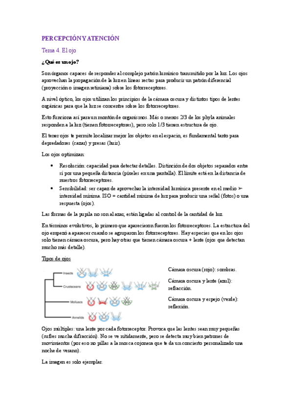 Miniatura del documento PyA.-Tema-4.pdf
