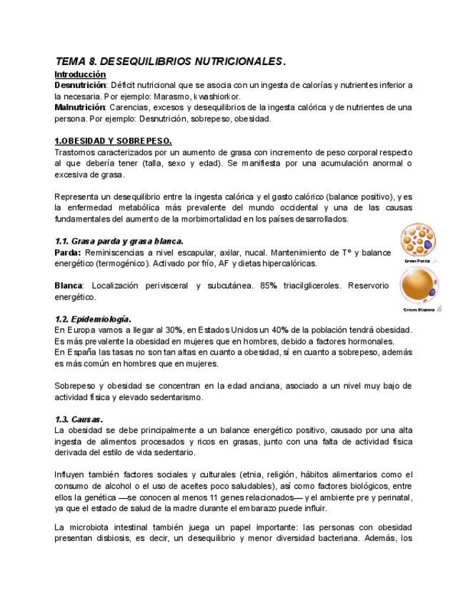 Miniatura del documento TEMA-8-nutricion.pdf