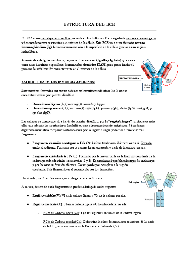 Miniatura del documento BCR-TCR-HLA.pdf