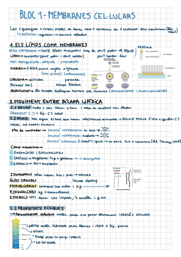 Miniatura del documento Apuntes-bio-cel.pdf