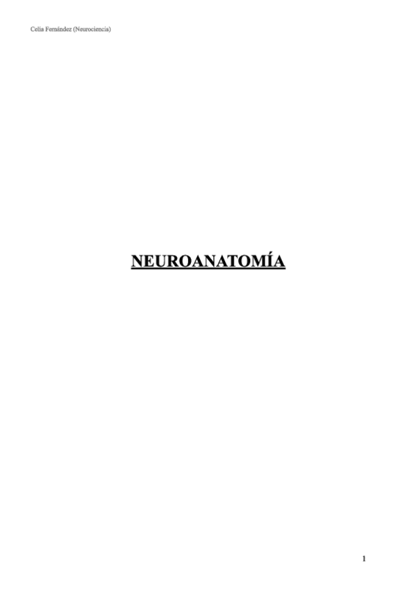 Miniatura del documento Neuroanato-completo.pdf