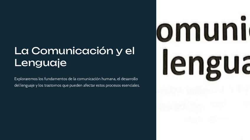 Miniatura del documento UD.1.-La-Comunicacion-y-el-Lenguaje.pdf