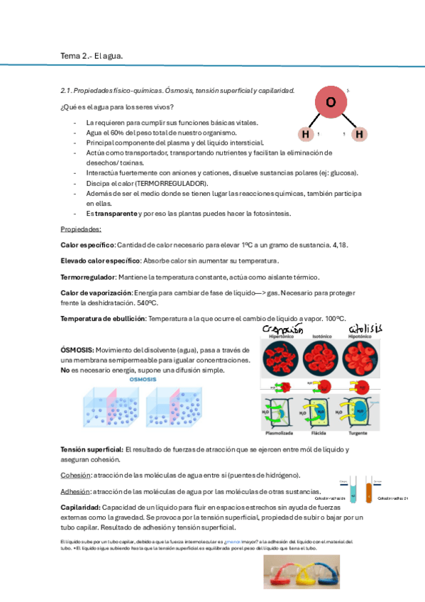Miniatura del documento T2Elagua.pdf