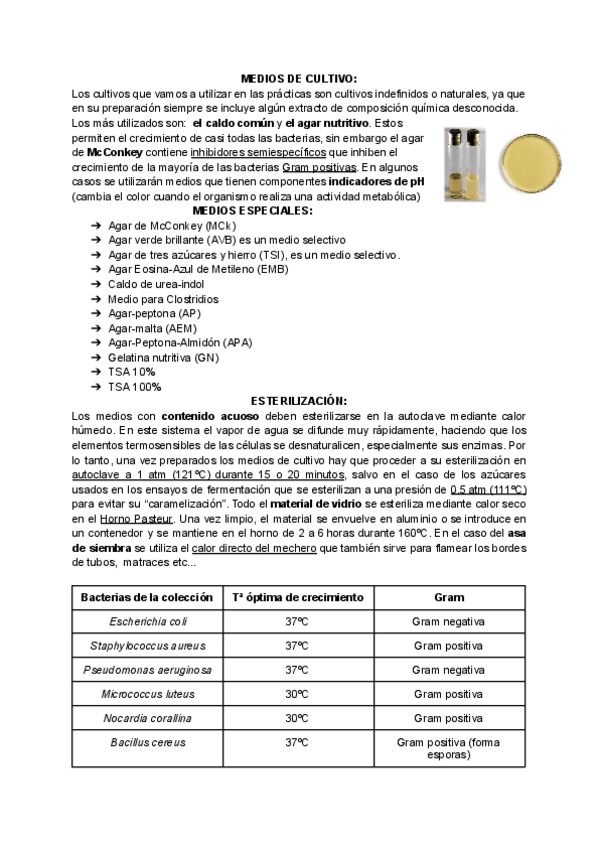 Miniatura del documento Practicas-microbiologia-teoria.pdf