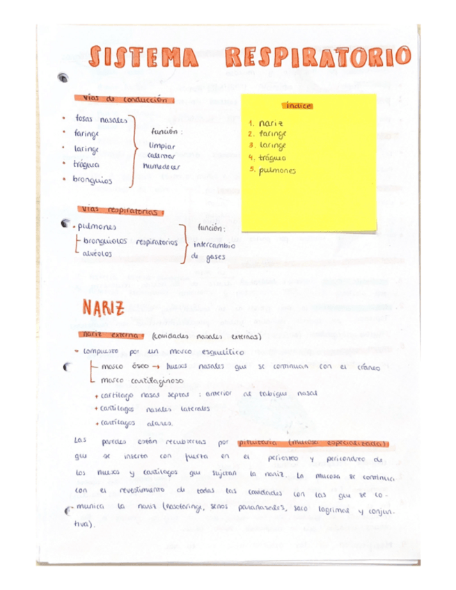 Miniatura del documento respiratorio.pdf