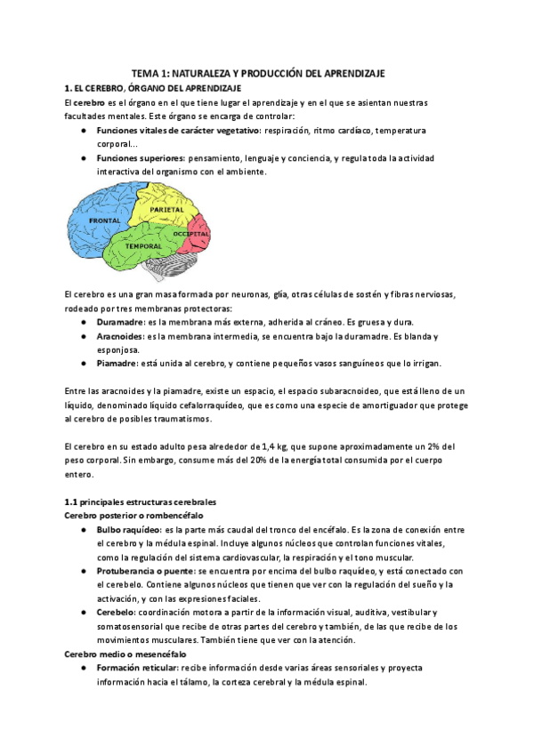 Miniatura del documento Tema-1.pdf
