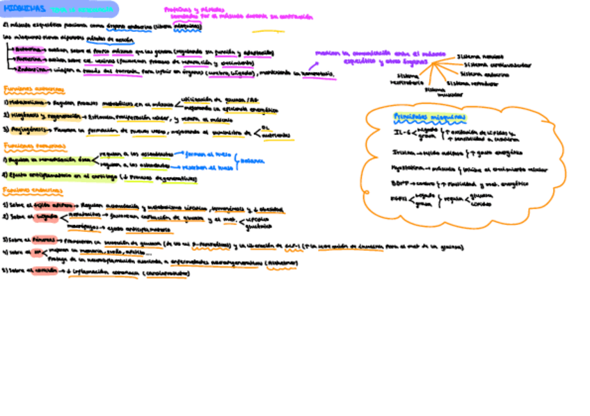 Miniatura del documento esquema-mioquinas-fisio.pdf