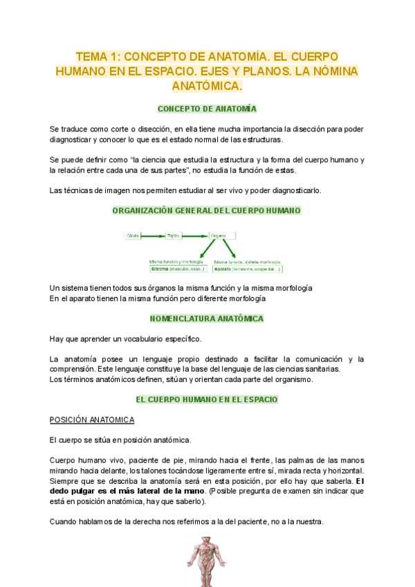 Miniatura del documento t1-anatomia-1.pdf