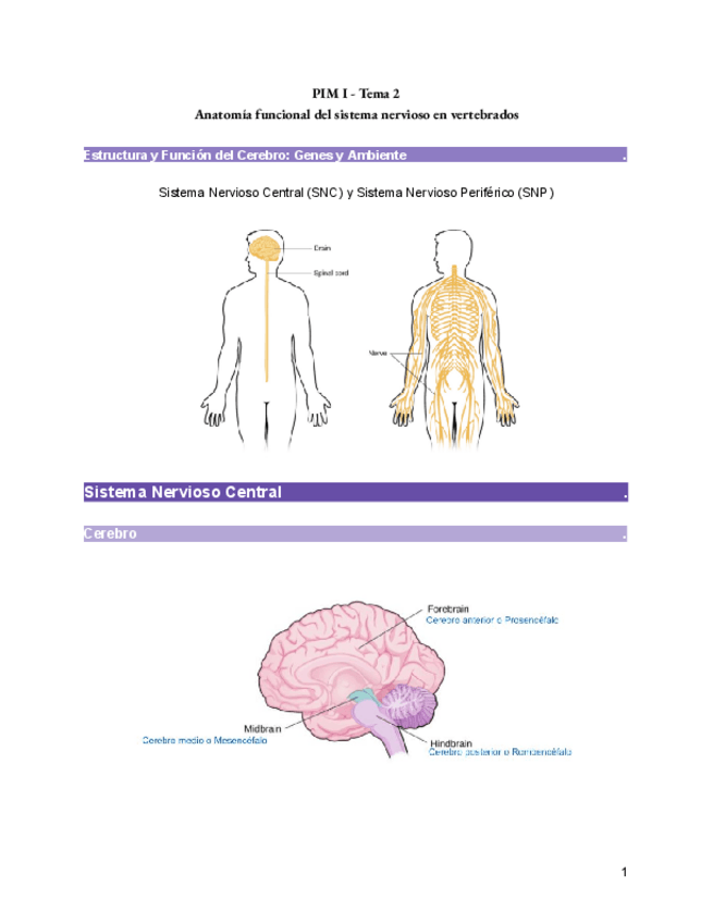 Miniatura del documento PIM-I-TEMA-2.pdf