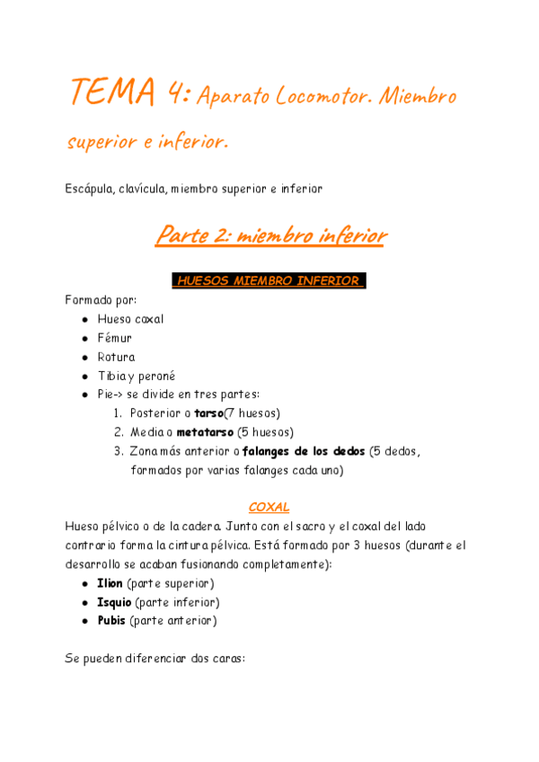 Miniatura del documento TEMA-4-Miembro-inferior.pdf