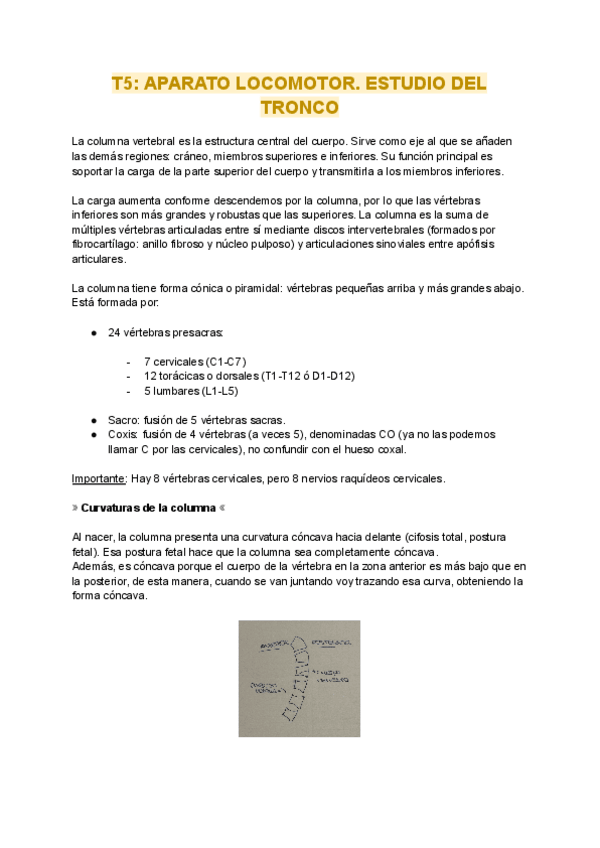 Miniatura del documento t5-1.pdf