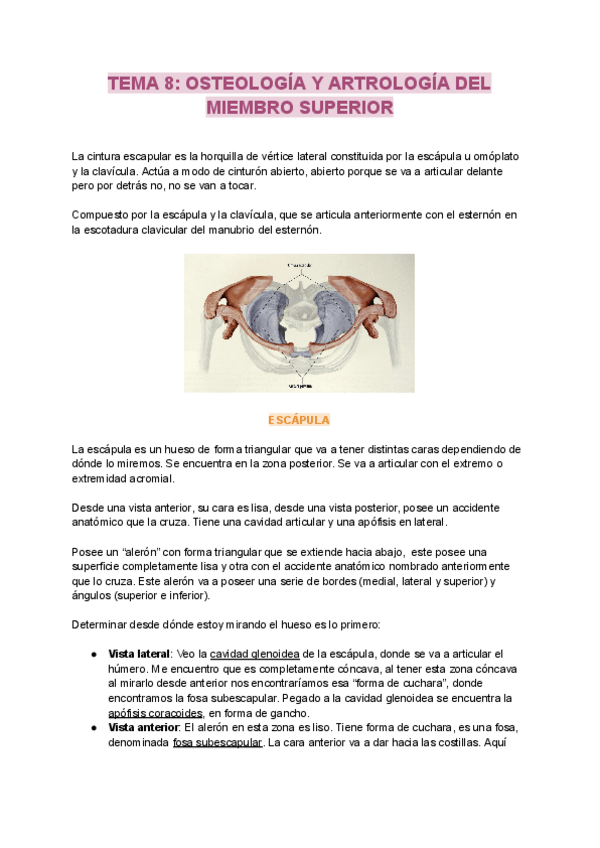 Miniatura del documento tema-8.pdf