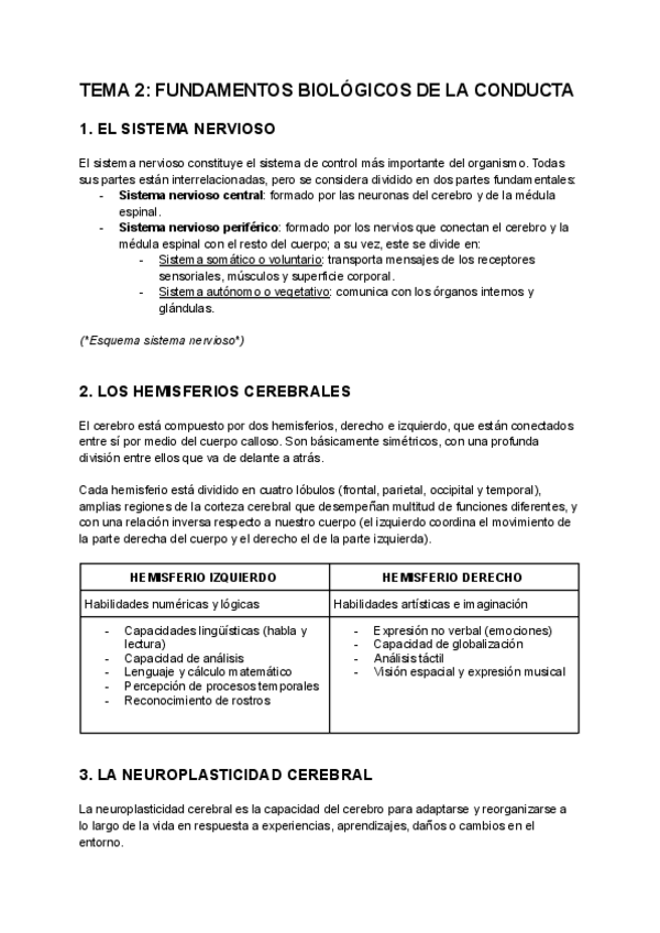 Miniatura del documento Tema-2-Fundamentos-biologicos-de-la-conducta.pdf